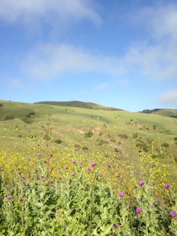 Wildcat Canyon Regional Park Trip Packages